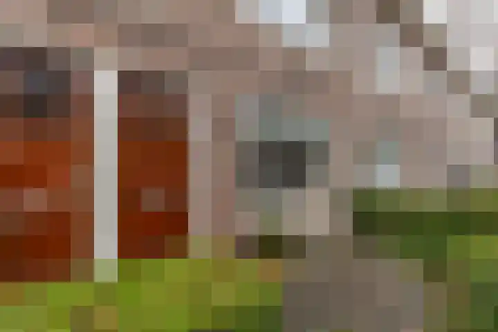 Koninginnelaan 68 Groningen thumbnail 4