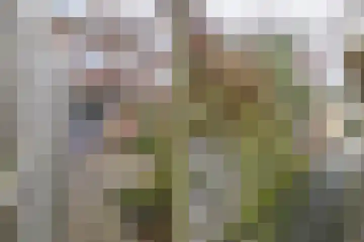 Koninginnelaan 68 Groningen thumbnail 9