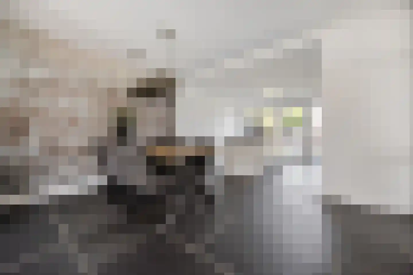 Koninginnelaan 7 Voorthuizen thumbnail 10