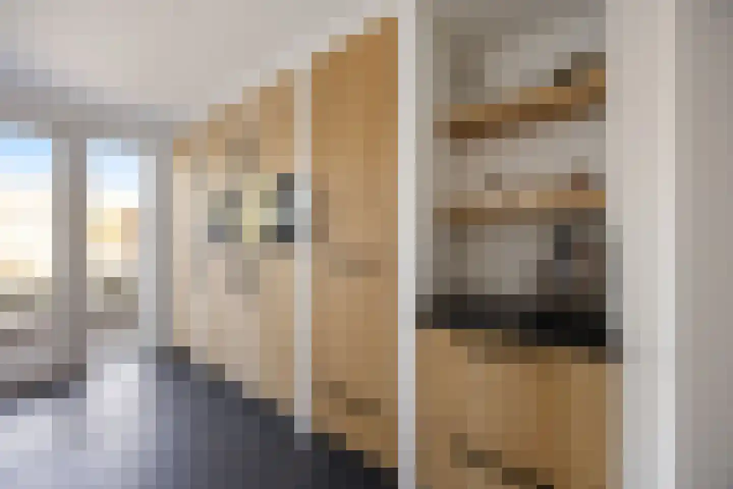 Koninginnelaan 7 Voorthuizen thumbnail 12