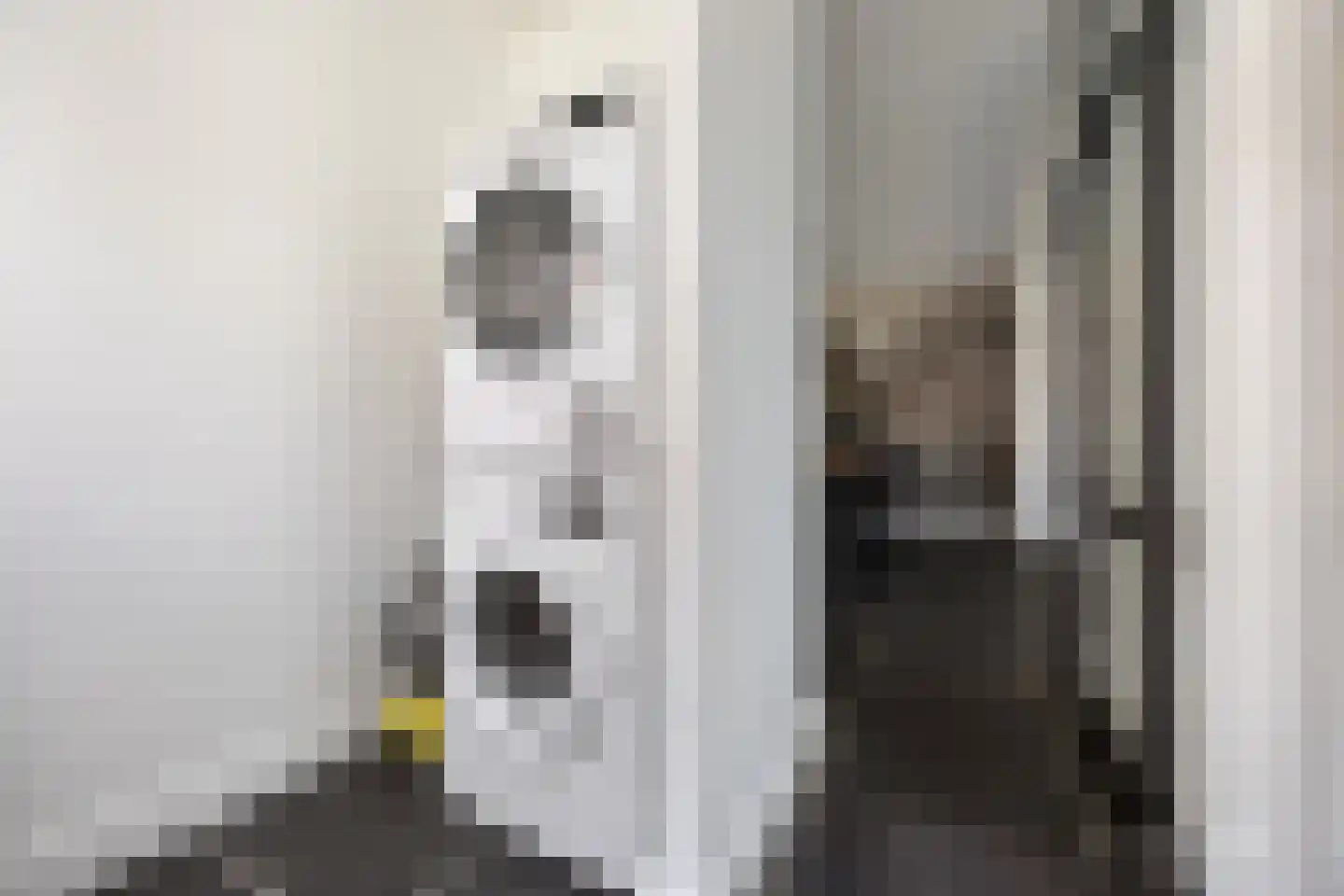 Koninginnelaan 7 Voorthuizen thumbnail 13