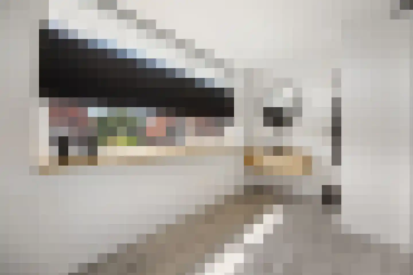 Koninginnelaan 7 Voorthuizen thumbnail 15