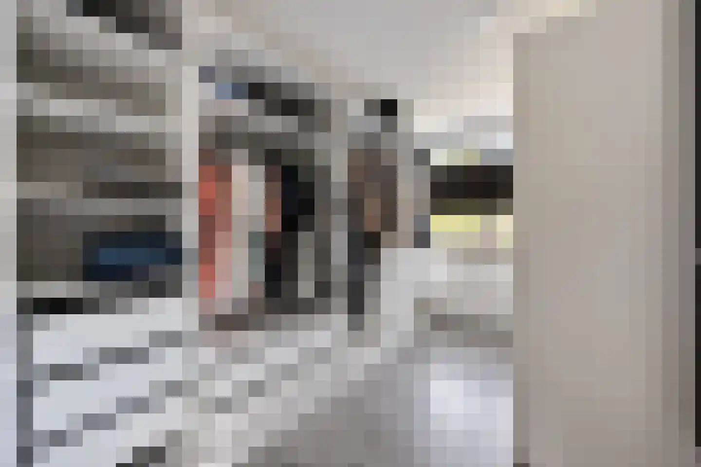 Koninginnelaan 7 Voorthuizen thumbnail 16