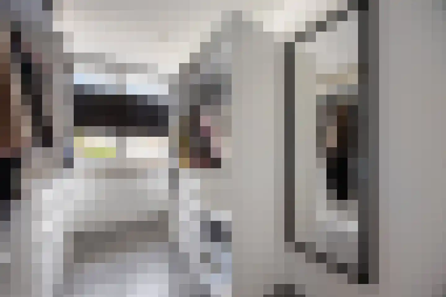 Koninginnelaan 7 Voorthuizen thumbnail 17