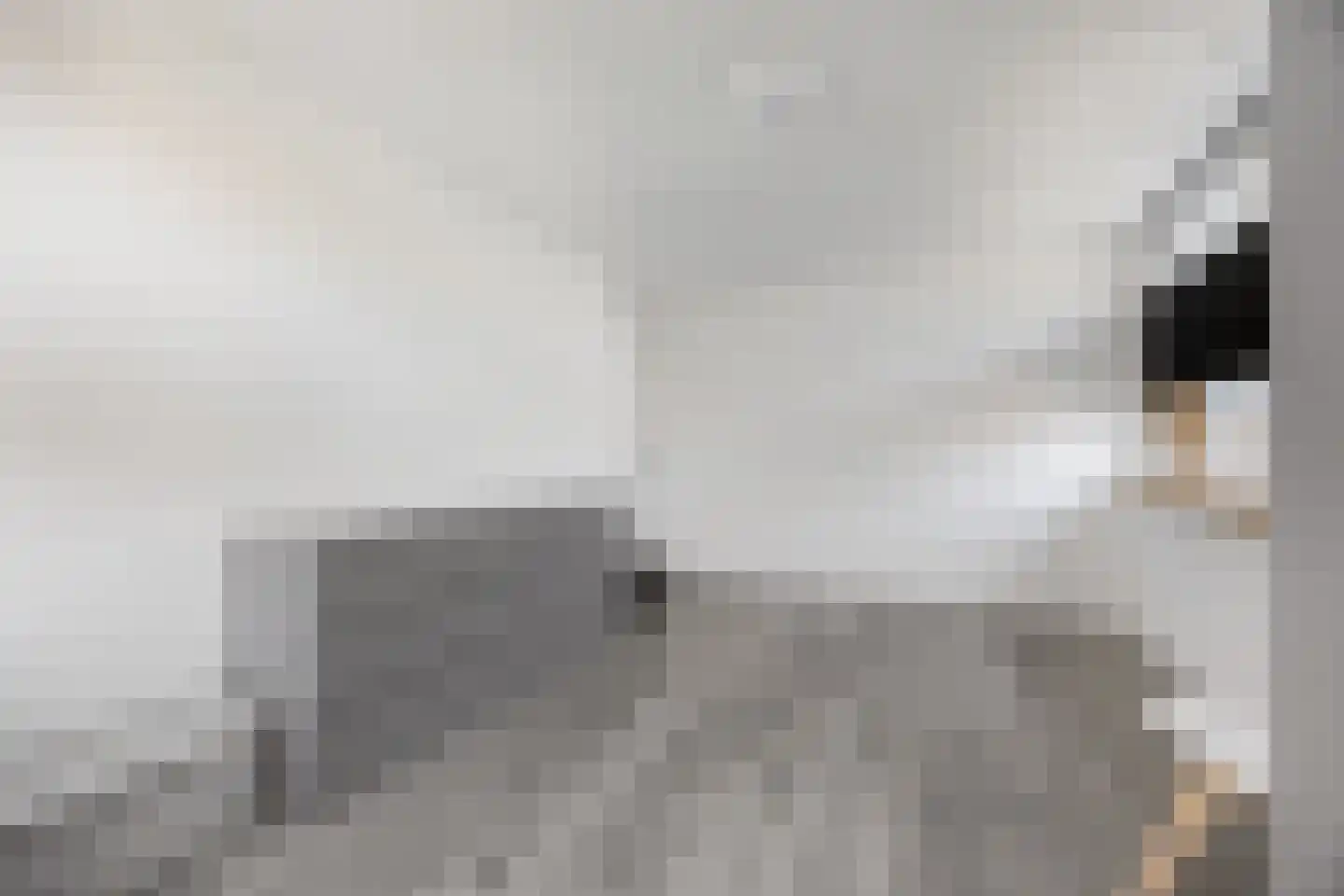 Koninginnelaan 7 Voorthuizen thumbnail 18