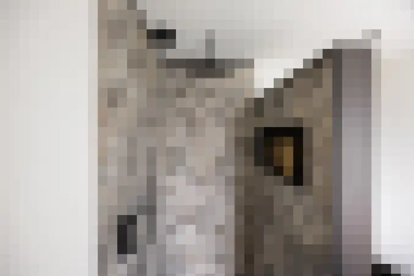 Koninginnelaan 7 Voorthuizen thumbnail 21