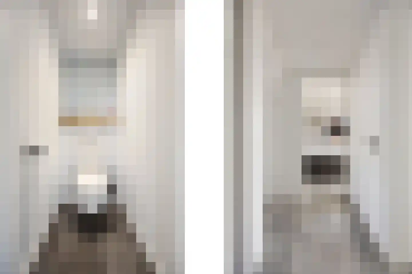Koninginnelaan 7 Voorthuizen thumbnail 22