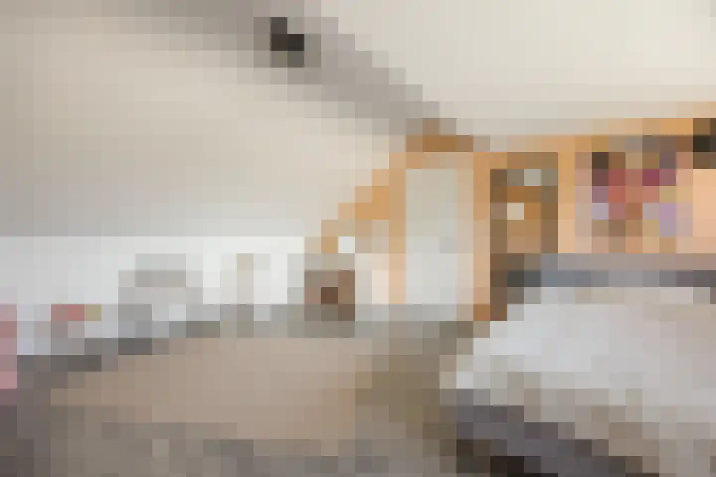 Koninginnelaan 7 Voorthuizen thumbnail 25