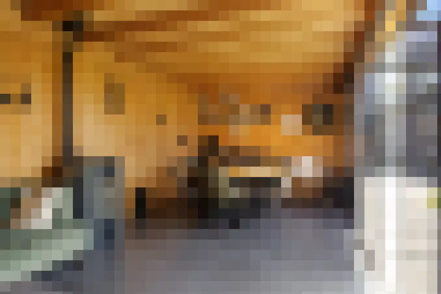 Koninginnelaan 7 Voorthuizen thumbnail 29