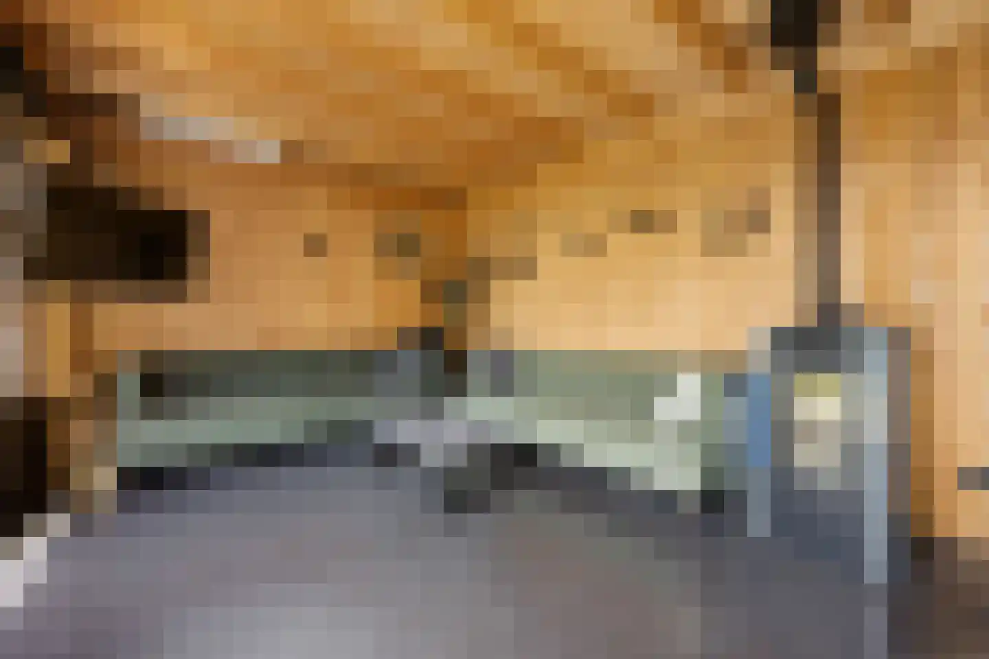 Koninginnelaan 7 Voorthuizen thumbnail 30