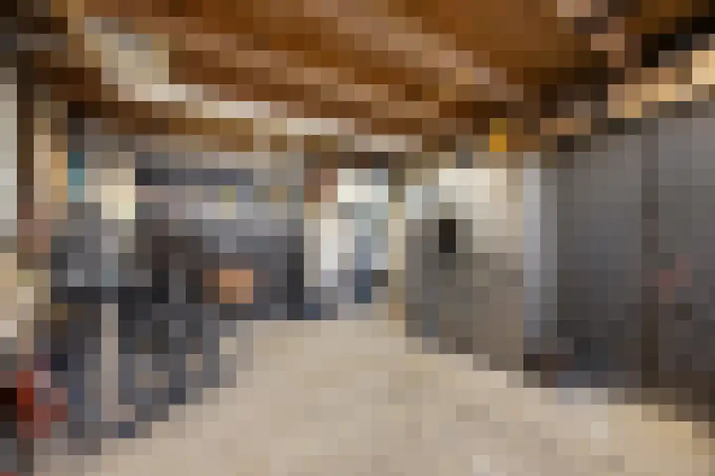 Koninginnelaan 7 Voorthuizen thumbnail 32