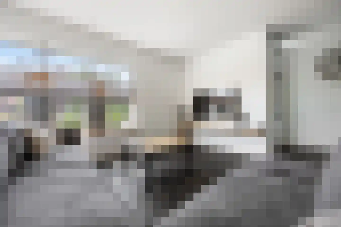 Koninginnelaan 7 Voorthuizen thumbnail 9