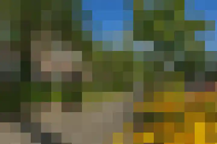 Koninginnelaan 70 in Groningen