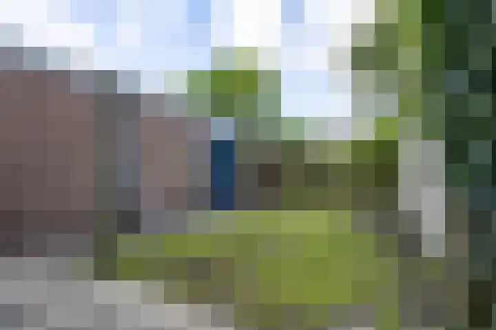 Koninginnelaan 70 Groningen thumbnail 14