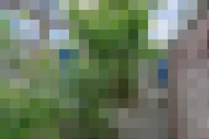 Koninginnelaan 70 Groningen thumbnail 17
