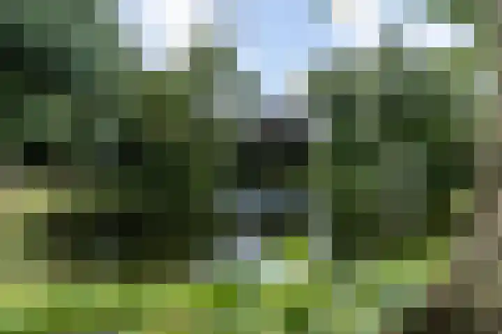 Koninginnelaan 70 Groningen thumbnail 19