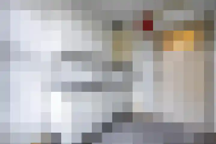 Koninginnelaan 70 Groningen thumbnail 5