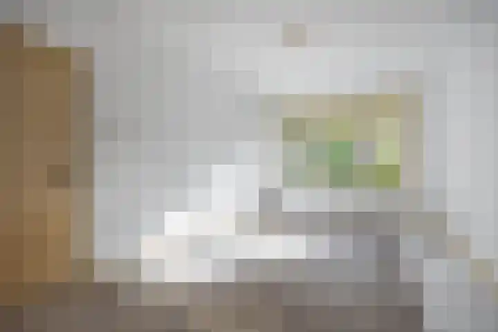 Koninginnelaan 70 Groningen thumbnail 7