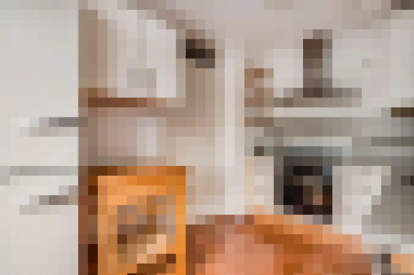 Koninginnelaan 71 A Roermond thumbnail 15