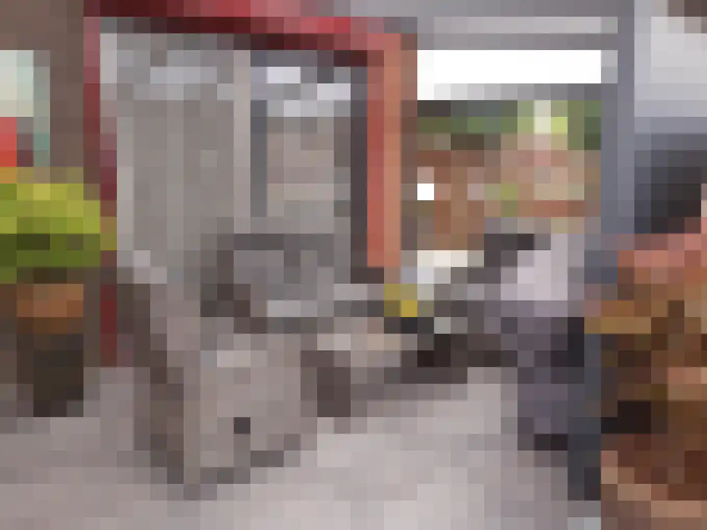 Koninginnelaan 71 A Roermond thumbnail 29