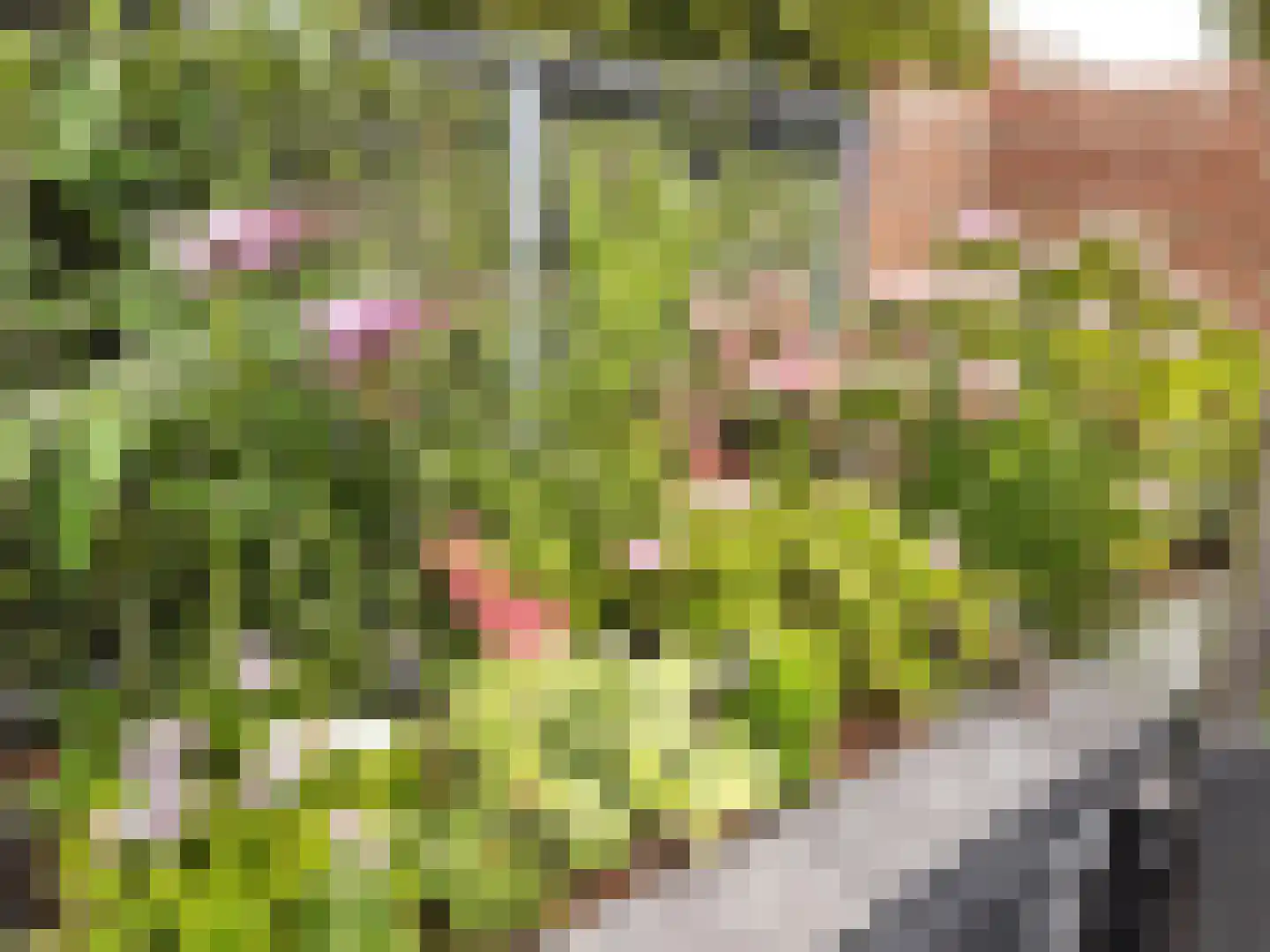 Koninginnelaan 71 A Roermond thumbnail 31