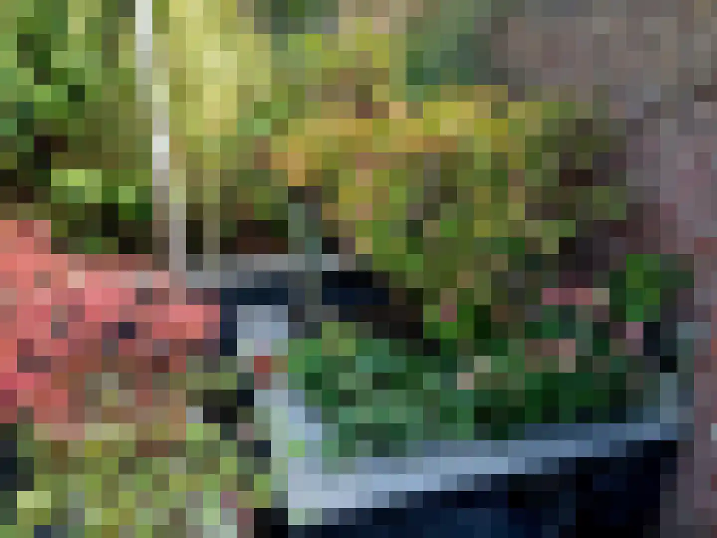 Koninginnelaan 71 A Roermond thumbnail 32