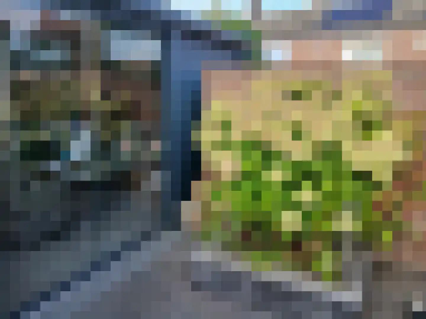 Koninginnelaan 71 A Roermond thumbnail 33