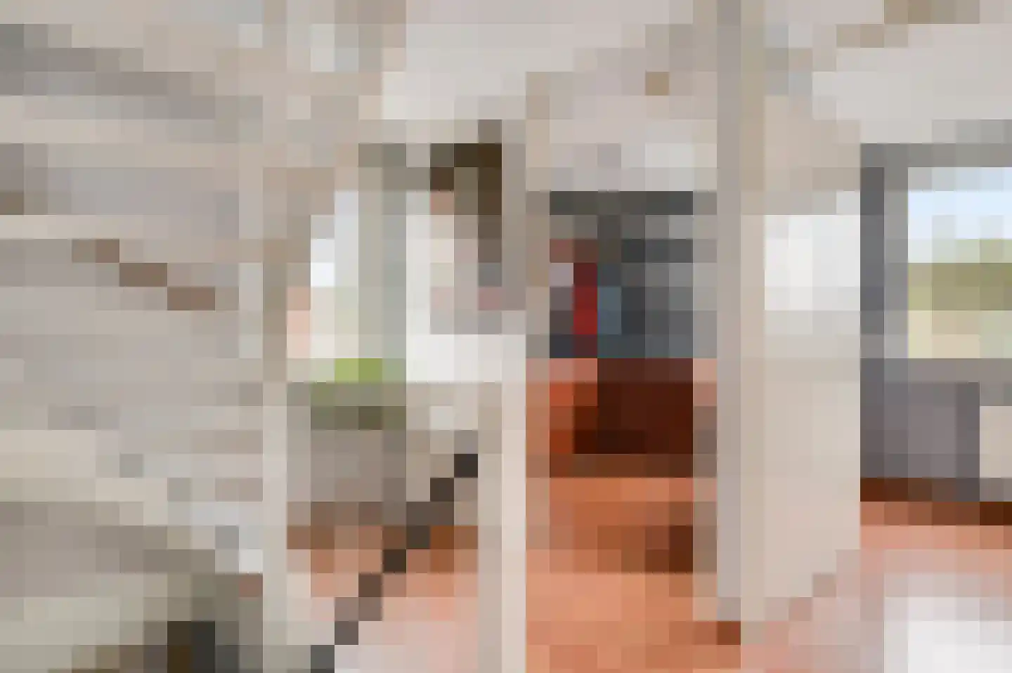 Koninginnelaan 71 A Roermond thumbnail 36