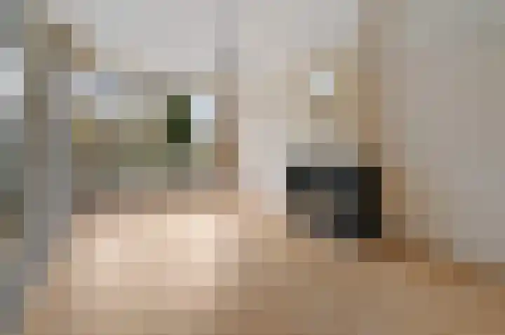 Koninginnelaan 71 Rijswijk thumbnail 10