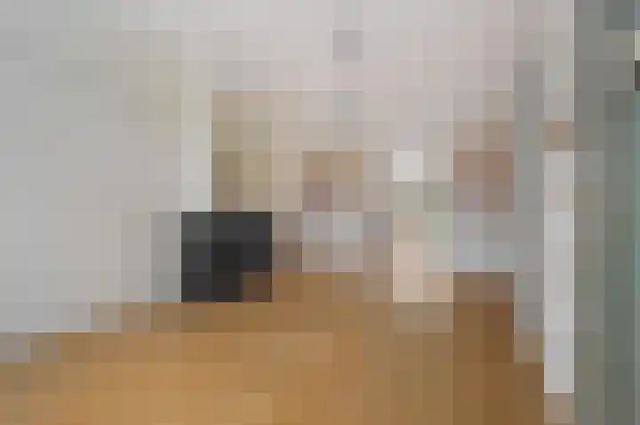 Koninginnelaan 71 Rijswijk thumbnail 13