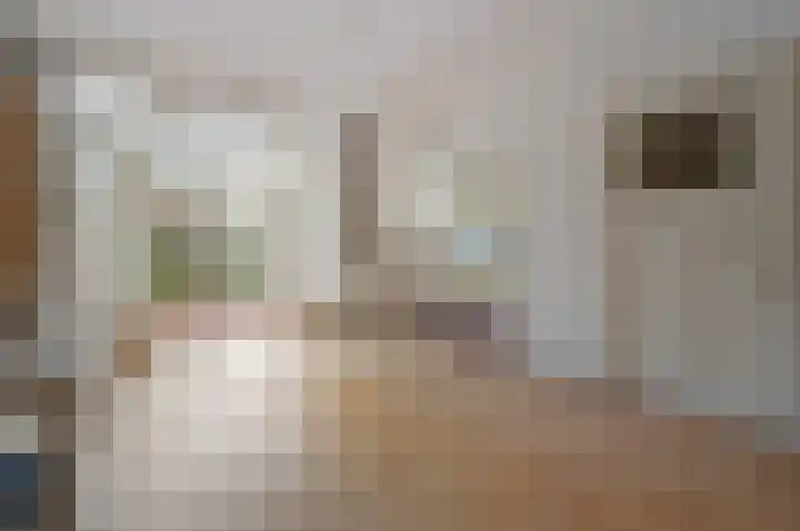 Koninginnelaan 71 Rijswijk thumbnail 16