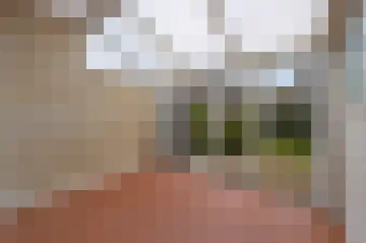 Koninginnelaan 71 Rijswijk thumbnail 21