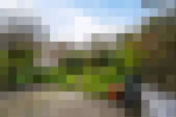 Koninginnelaan 71 Rijswijk thumbnail 23