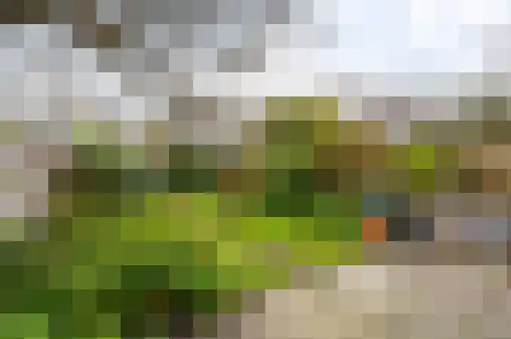 Koninginnelaan 71 Rijswijk thumbnail 24
