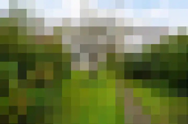 Koninginnelaan 71 Rijswijk thumbnail 25