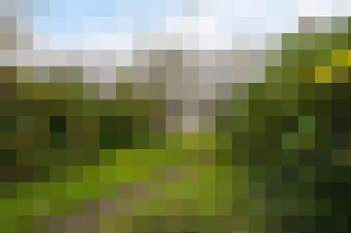 Koninginnelaan 71 Rijswijk thumbnail 26