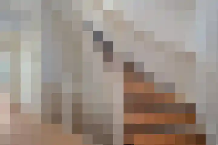 Koninginnelaan 71 Rijswijk thumbnail 28