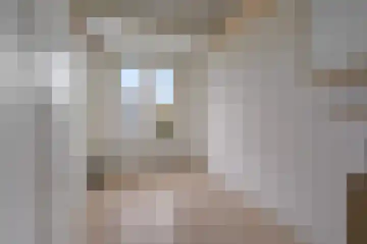 Koninginnelaan 71 Rijswijk thumbnail 39