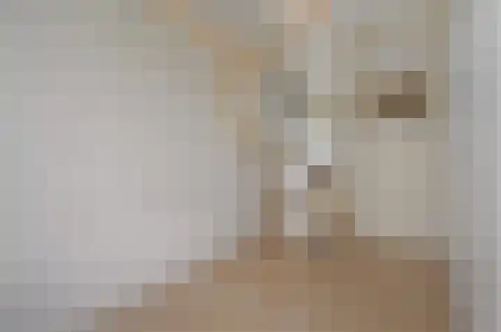 Koninginnelaan 71 Rijswijk thumbnail 40