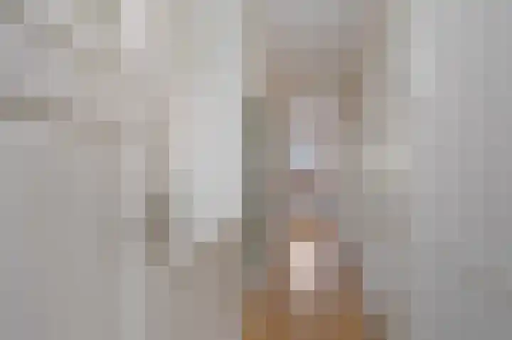 Koninginnelaan 71 Rijswijk thumbnail 41