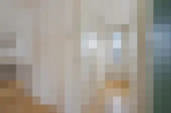 Koninginnelaan 71 Rijswijk thumbnail 42