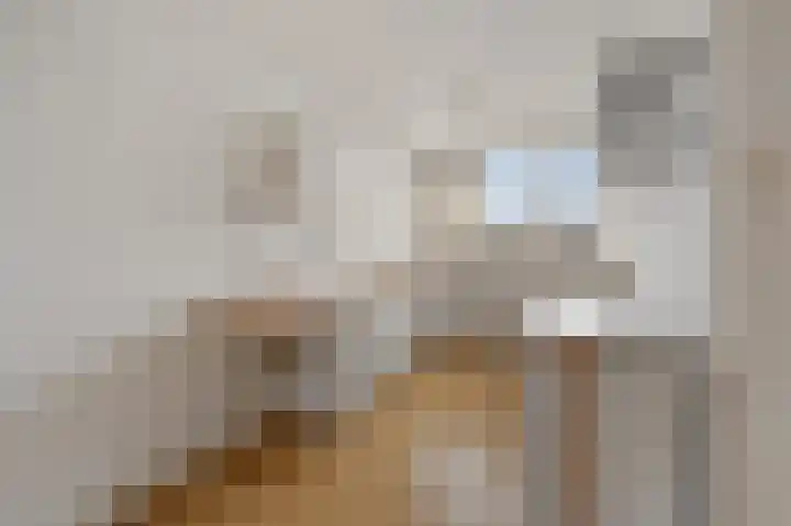 Koninginnelaan 71 Rijswijk thumbnail 45