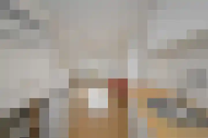 Koninginnelaan 71 Rijswijk thumbnail 46