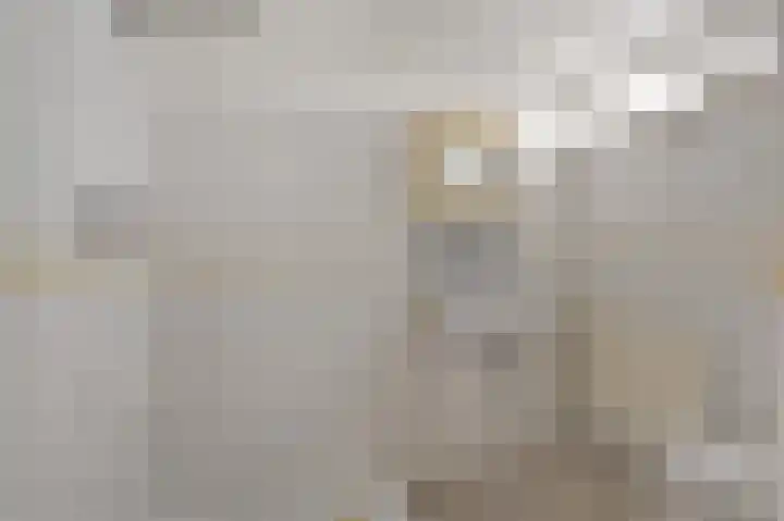 Koninginnelaan 71 Rijswijk thumbnail 47