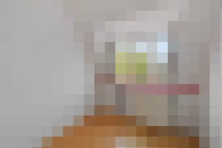 Koninginnelaan 71 Rijswijk thumbnail 49