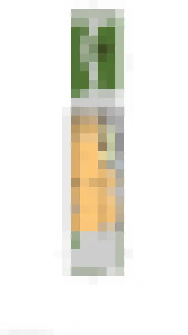 Koninginnelaan 71 Rijswijk thumbnail 59