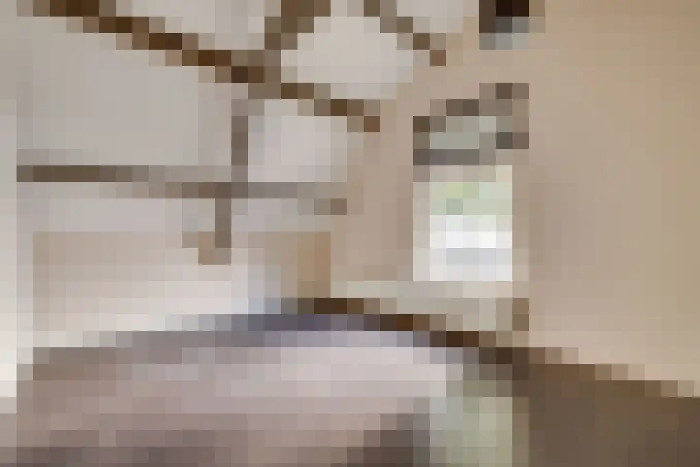 Koninginnelaan 73 Apeldoorn thumbnail 22