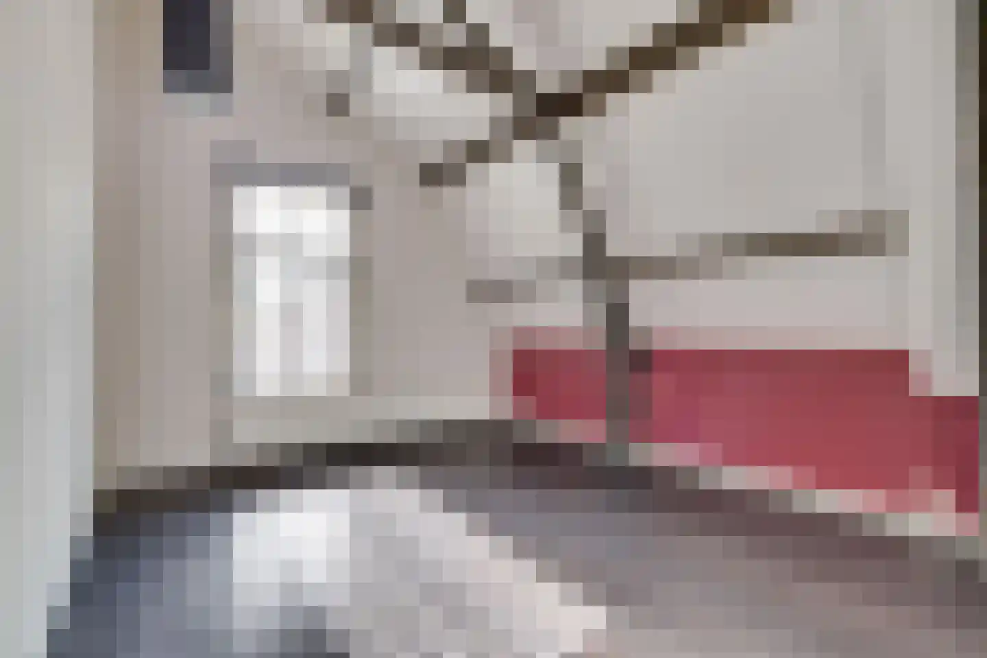 Koninginnelaan 73 Apeldoorn thumbnail 24