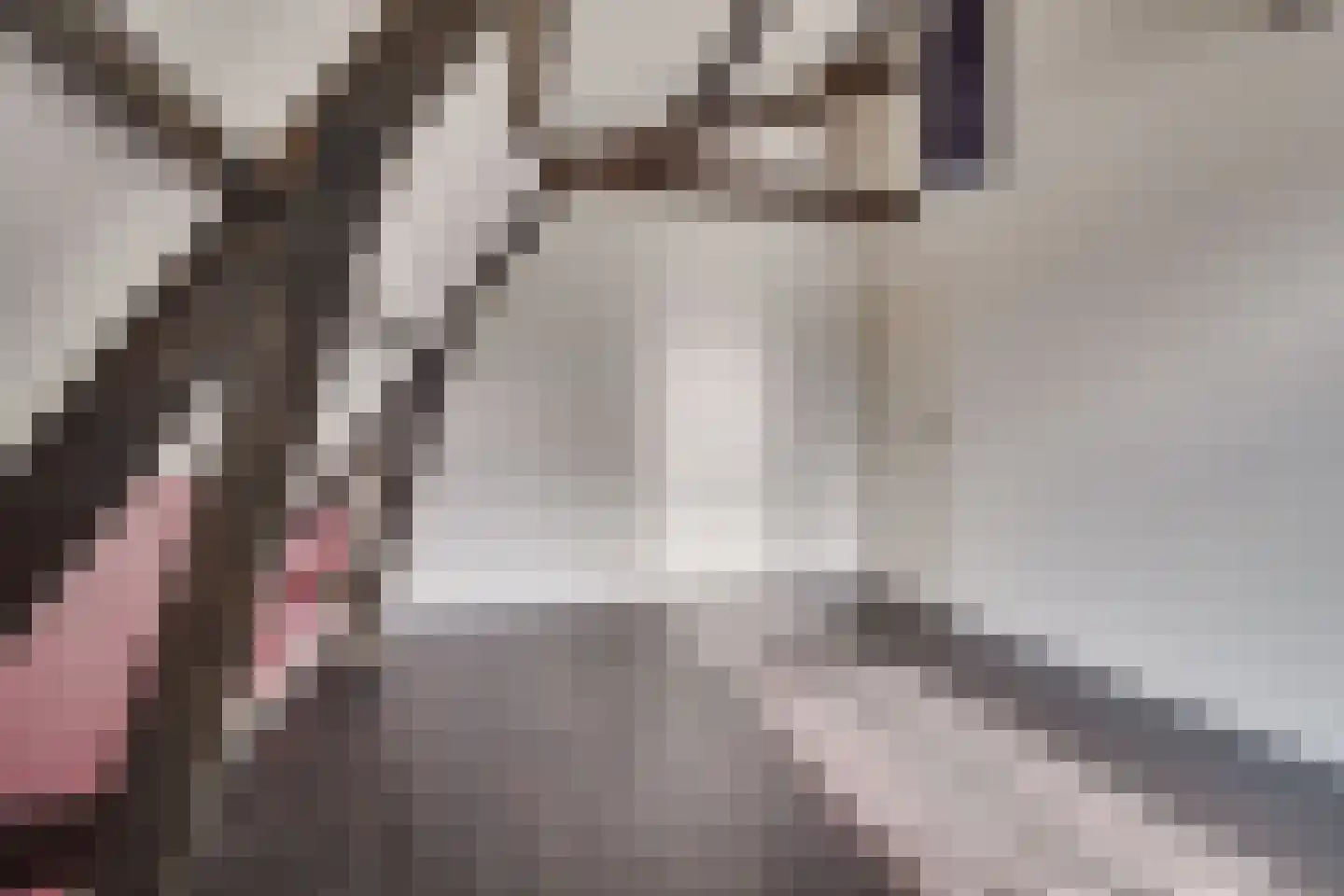 Koninginnelaan 73 Apeldoorn thumbnail 25