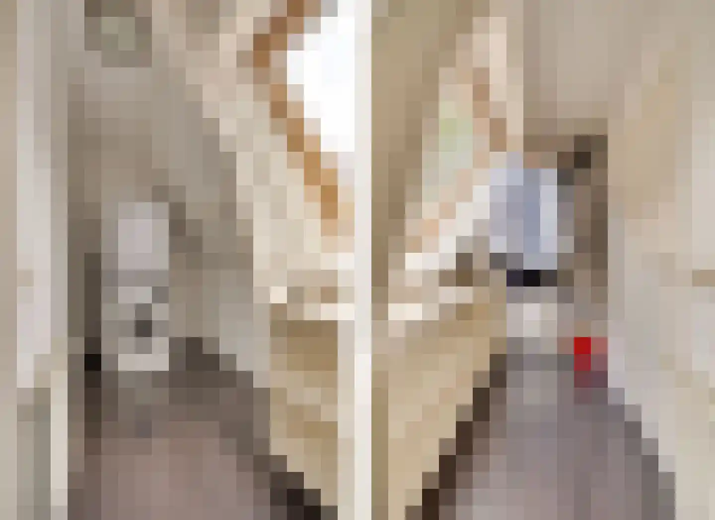 Koninginnelaan 73 Apeldoorn thumbnail 33
